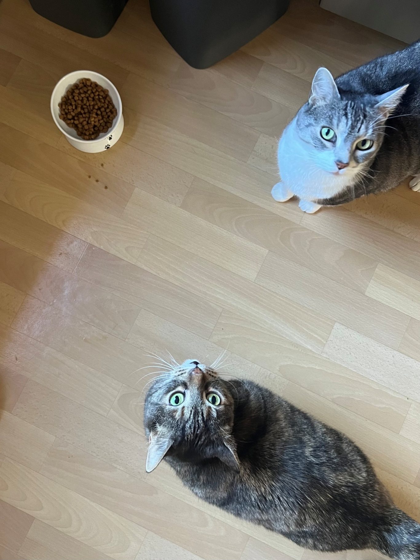 Jimmy & Mira Jimmy & Mira